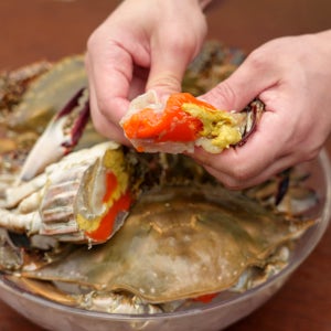 K꽃게 어부가 직접 판매하는 암꽃게 / 1kg 급냉