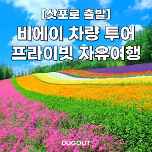 삿포로 비에이 프라이빗 단독 차량투어 백은장, 준페이 예약 가능