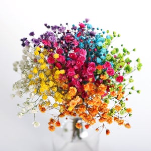 드라이플라워 안개꽃 레드핑크 - 프리저브드플라워 말린꽃