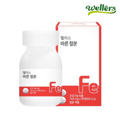 철분제효능 <b>웰러스 바른 철분</b> 740mg x 90정