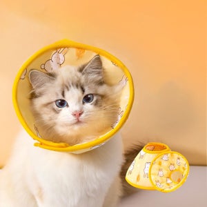 다묘집사 귀여운 고양이 깔대기 넥카라