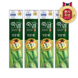 죽염 잇몸고 치약 120g 4개