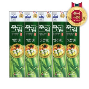 죽염 잇몸고 치약 120g 5개