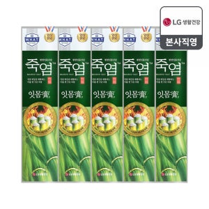 죽염 평생 잇몸 건강 치약 120g, 잇몸고, 5개