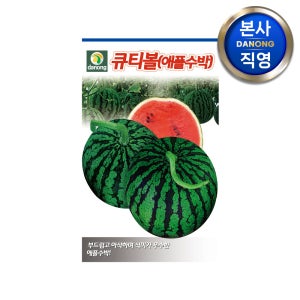 큐티볼 애플수박 씨앗 5립 아삭한 미니 작은 수박 채소 파종 식물 키우기 씨 종자