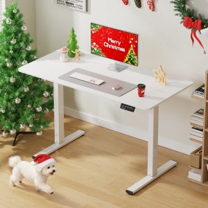 호몰 전동 인체공학 E0 모션데스크 PE-01 컴퓨터책상 책상 화이트