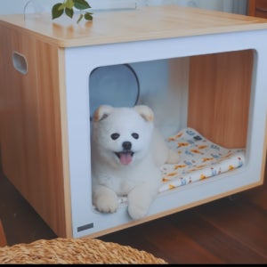 펫말리 펫드라이룸, M5