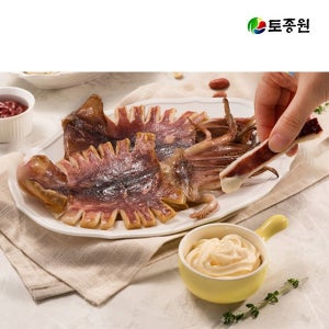 반건조 오징어 10미 2kg 이상 왕특 원양산 맥반석