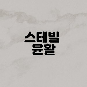 스테빌라이저 최저가 가성비상품