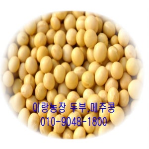 백태콩(두부,메주.콩국수) 5kg