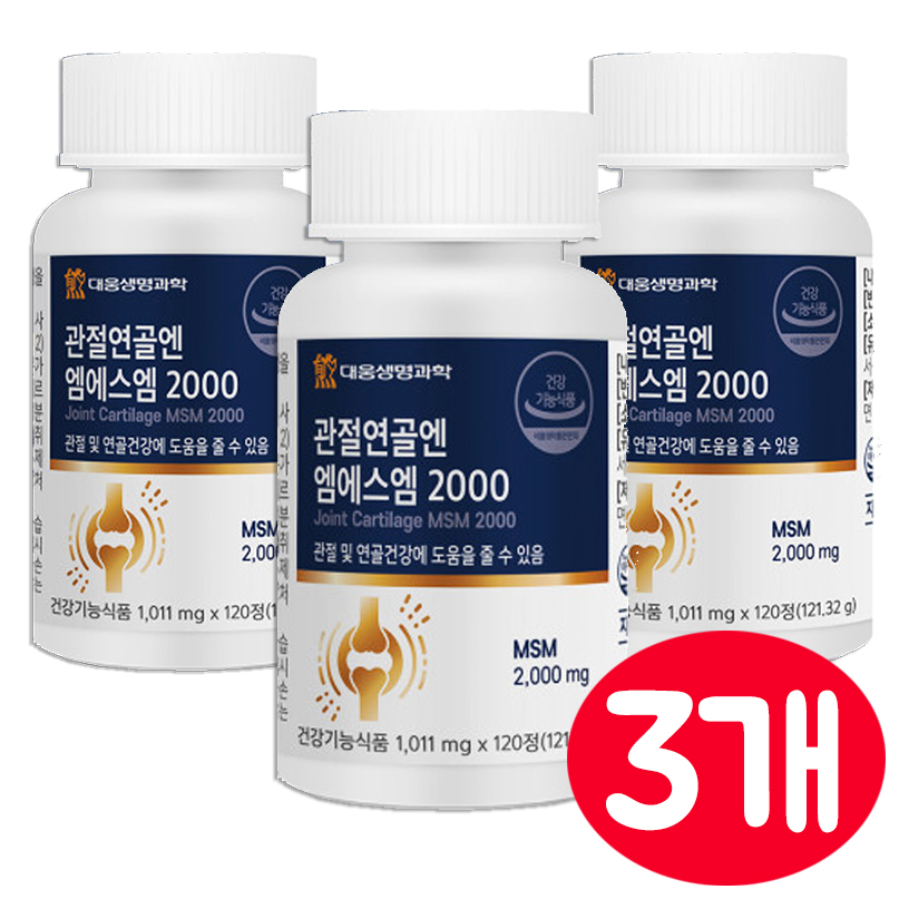 조인트 엠에스엠 2000