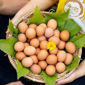 유정란 친한경 달걀 계란 동물복지 산지직송 30구