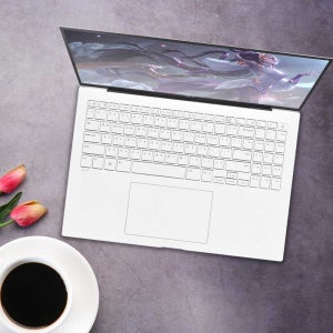 LG전자 그램16 16ZD90R-EX79K (WIN11 HOME / SSD 1TB / RAM 32GB) HMC