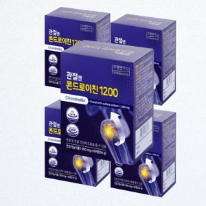 관절엔 콘드로이친 1200 900mg 60정 5개