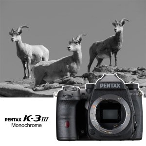 [내일도착보장] 펜탁스 K-3 Mark III Monochorome 흑백사진 전용 DSLR Body