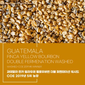 (커피생두) 276 과테말라 핀카 빌라우레 옐로우버번 더블 퍼멘테이션 워시드-COE 2019년 5위 농장 1kg - 2월입고예정