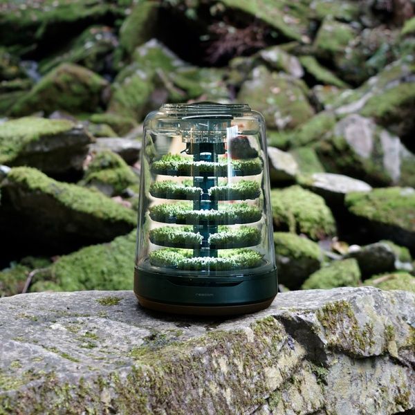 리숨 쁘띠포레 공기청정기