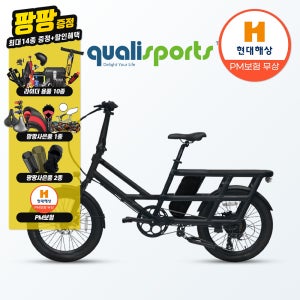퀄리스포츠 엑스트론 투어 48V 20Ah 500W 블랙 배달 출퇴근 전기자전거 PAS