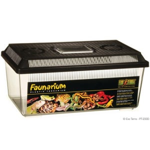 엑소테라 플라나리움 플랫형 파충류 채집통 중 / 레오파드게코 뱀 사육장 PT2300