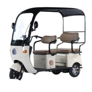 당진아재 전동차 탑승 덮개 미니버스