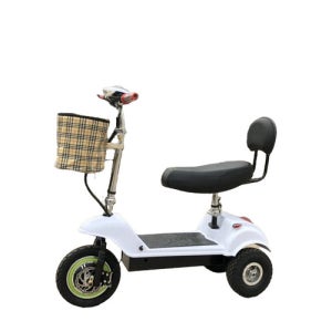 당진아재 전동차 삼륜차 미니전동차 탑승