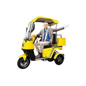 당진아재 전동차 미니버스 삼륜 심부름 전동차 텀블러윙라이더 헛간 포함