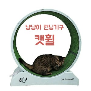 캣휠 고양이 러닝머신 달리기운동 무소음 PP 간편조립 고양이워커 훈련 휠