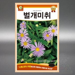 다농 벌개미취 300립 야생화 국화과 다년생 꽃 씨앗 씨 종자