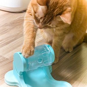 노즈워크, 캐티맨 데루데루 노즈토이(고양이)