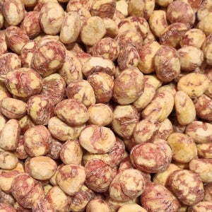 2025년 햇밤 공주 정안알밤 탈피밤 700g 깐밤 생율 영양간식