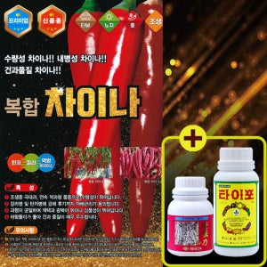 복합차이나 고추 1200립 고추종자씨 조생종 극대과 건과품질 최상 연속착과형 탄저 칼라 역병 바이러스 골드바이오