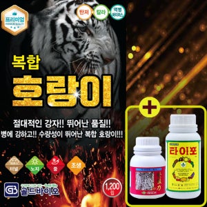 복합호랑이 고추 1200립 고추종자씨 조생종 복합내병성 수량성이 뛰어난 극대과 품종 건과품질 광택 바람들이 우수 탄저 칼라 역병 바이러스 골드바이오