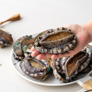 완도 특대 활 전복 선물세트 15마리 1.5kg (마리당100g내외)