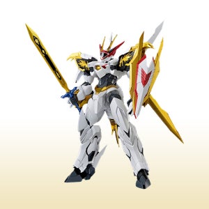 HG Amplified IMGN 류오마루