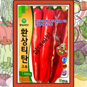 복합내병계 고추씨앗 환상티탄 1200립 팜한농