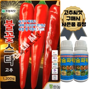 불꽃스타고추씨앗1200립 복합내병계 고추종자