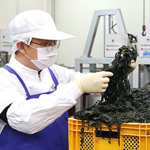 [금복식품] 맥반석 완도미역 300g, 10개