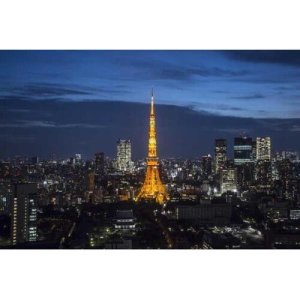 일본 도쿄 타워 입장권