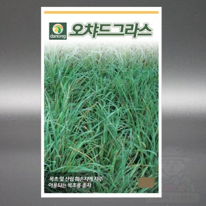 다농 오차드그라스 씨앗 1kg 잔디 산림훼손지 화본과 목초 조사료 다년생 씨 종자