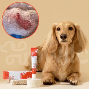 포비겔 강아지 고양이 곰팡이성 피부염 피부병 약 아토피 상처 연고 농피증 링웜 발습진 약