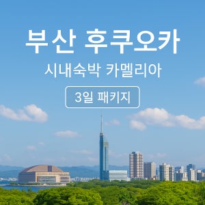 [카멜리아] 초특가 후쿠오카 시내 숙박 2박3일 부산출발 패키지