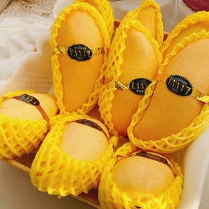 프리미엄 태국 고당도 골드망고 5kg 제철망고/매주 화요일출고