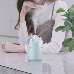[나너우리]고양이 무드등 가습기 KC 차량 사무실 휴대 책상 침실 자동단수단전 유아 선물