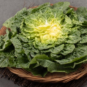 제철 <b>봄동</b> 5KG 10KG 배추 겉절이 알배기 나물