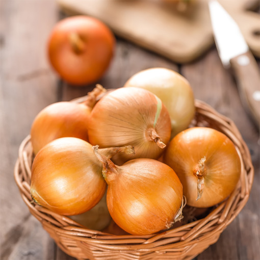 25년 국내산 햇 <b>양파</b> 적<b>양파</b> 장아찌용 자색 3kg