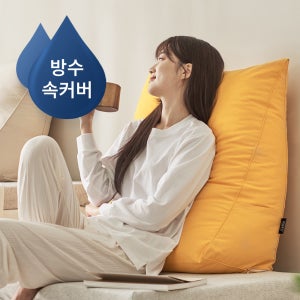 닥터바로 삼각 등받이쿠션 허리 침대 쇼파 등 쿠션 기본형