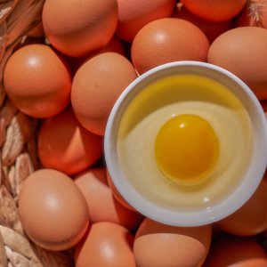 [HACCP] 오늘 낳은 신선란 계란 달걀 대란 40구