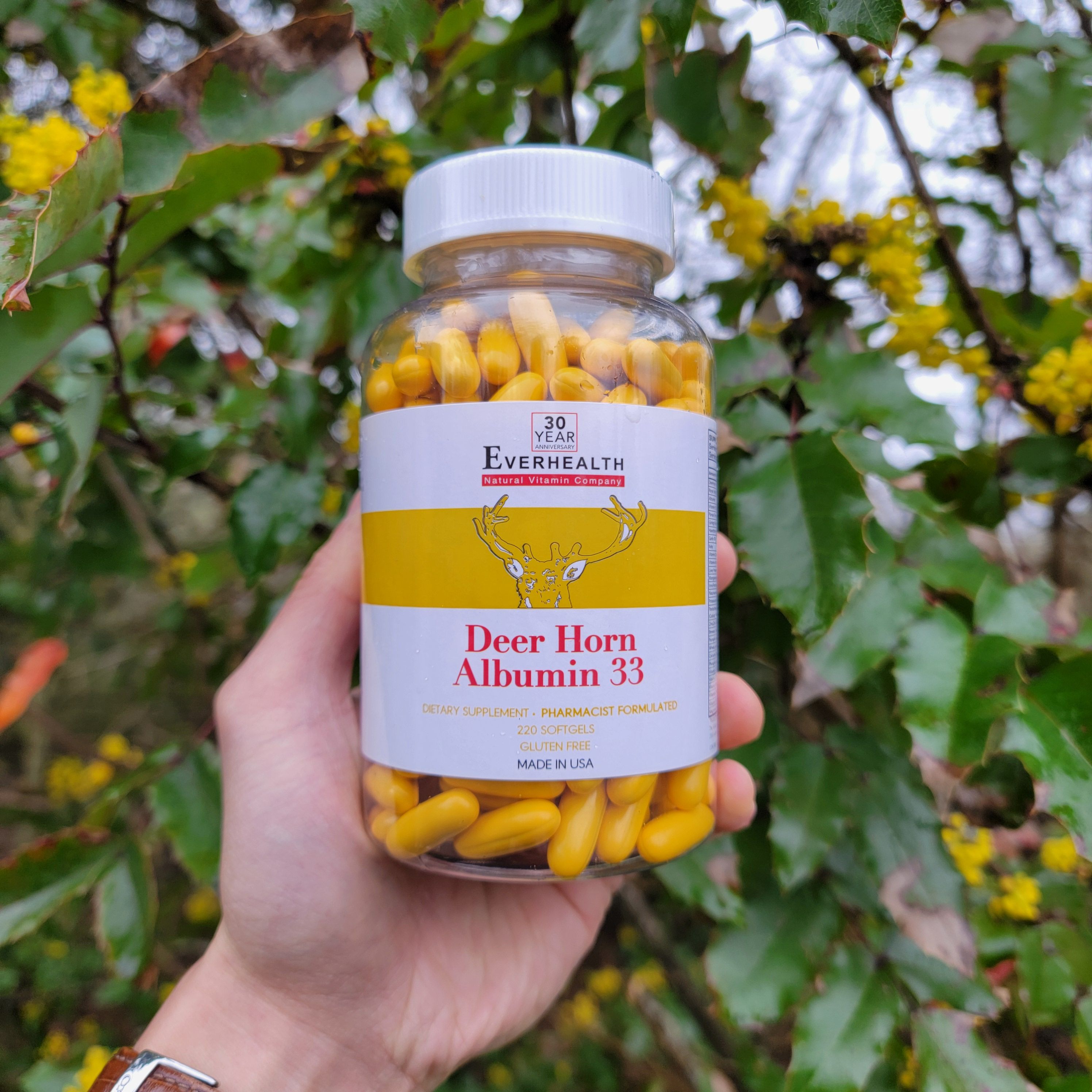 <b>에버헬스</b> 알부민33 녹용 220정 / Everhealth Deer Horn Albumin 33