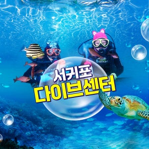 제주 서귀포다이브 / 제주도 스쿠버 다이빙 스노클링