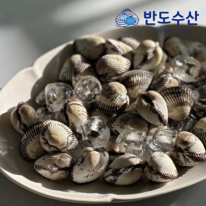 [무료배송] 벌교 새꼬막 소, 10kg, 1개